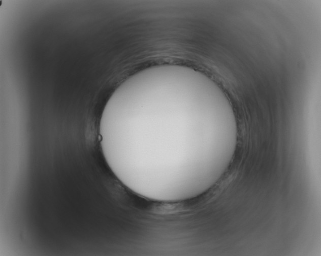 X0000102290129200807251009
