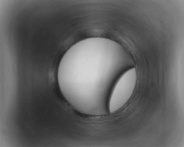 X0000102290131200807251009