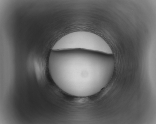 X0000102290135200807251009