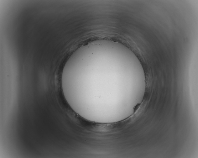 X0000102290136200807251009