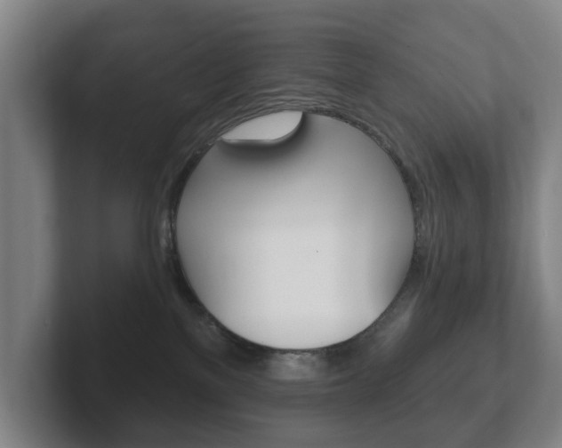 X0000102290137200807251009