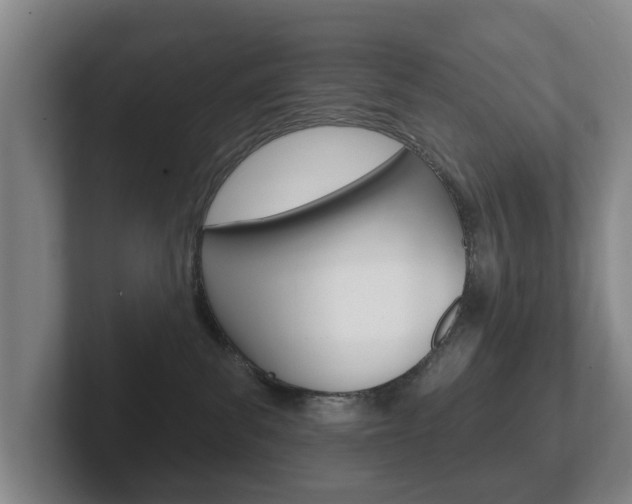 X0000102290139200807251009