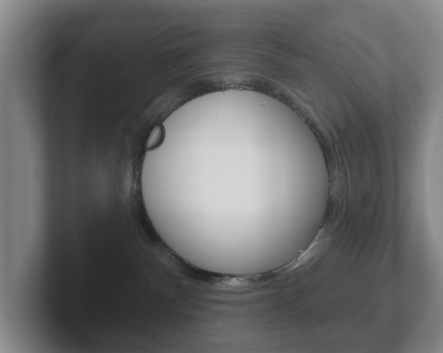 X0000102290140200807251008