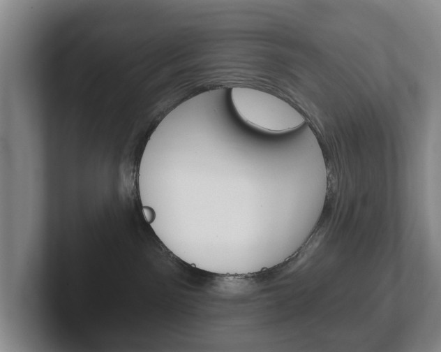 X0000102290141200807251008