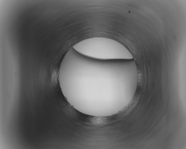 X0000102290142200807251008