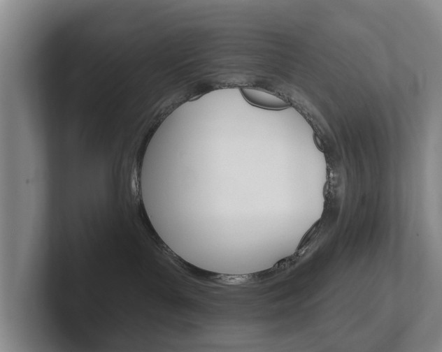 X0000102290143200807251008