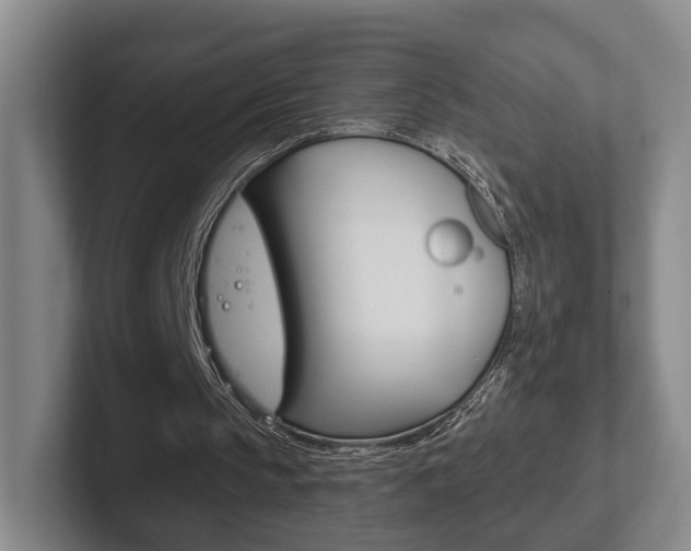 X0000102290145200807251008