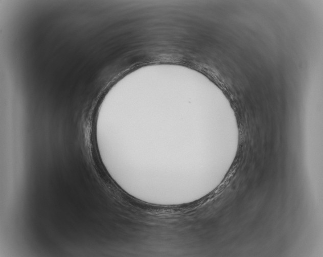 X0000102290146200807251008