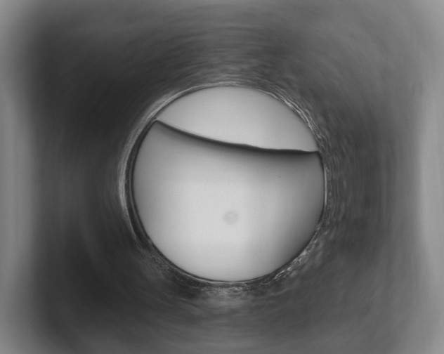 X0000102290147200807251008