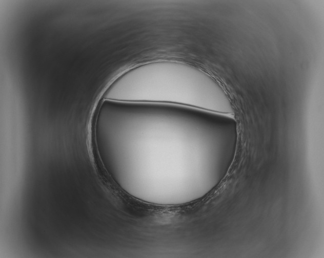 X0000102290148200807251008