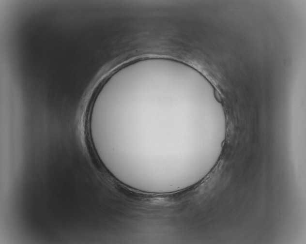 X0000102290151200807251008