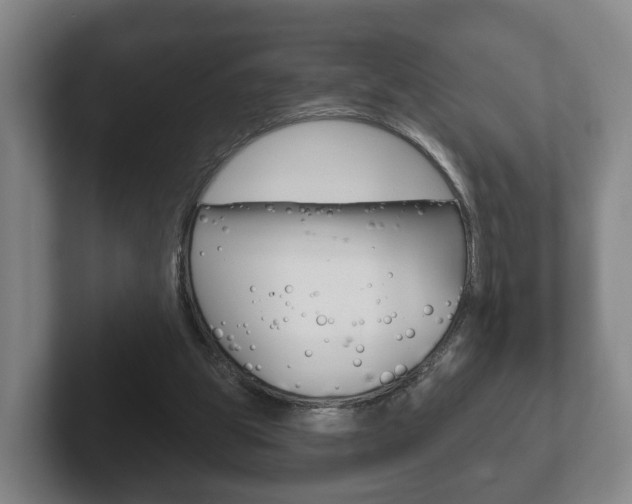 X0000102290153200807251008