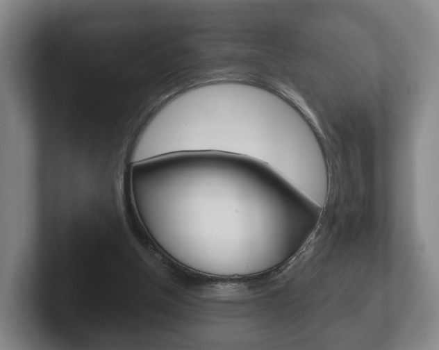 X0000102290154200807251008