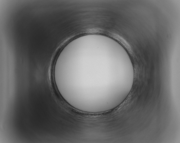 X0000102290155200807251008