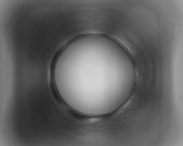 X0000102290158200807251008