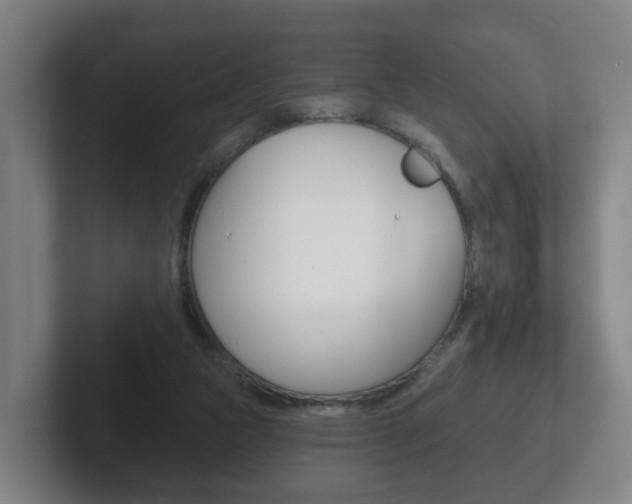 X0000102290161200807251008