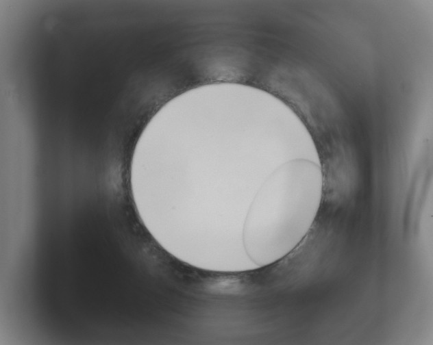 X0000102290162200807251008