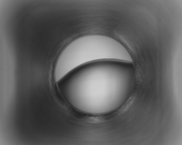 X0000102290164200807251008
