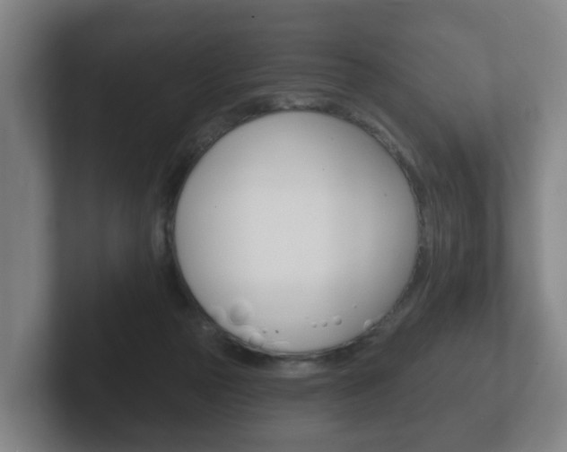 X0000102290169200807251008