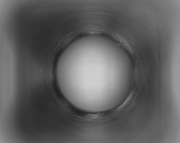 X0000102290170200807251008