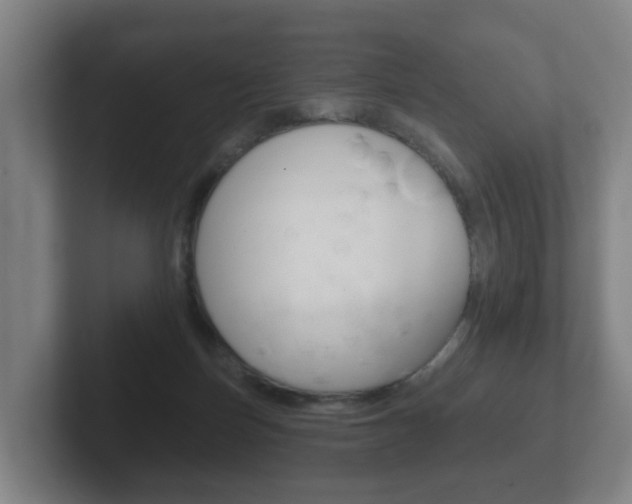 X0000102290171200807251008