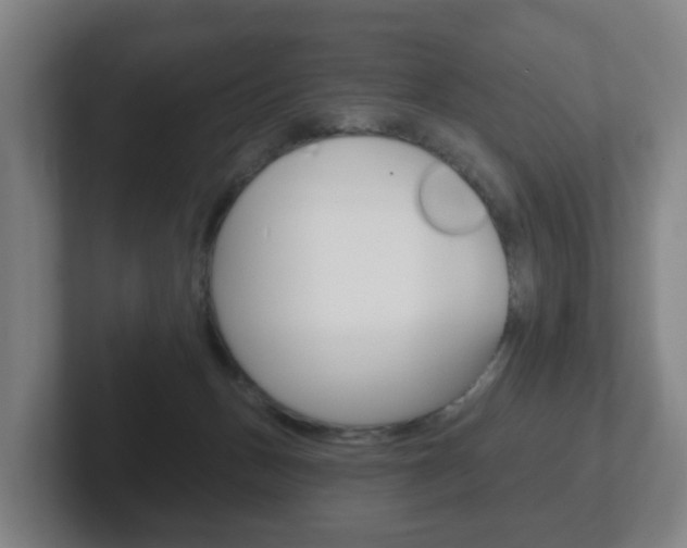 X0000102290175200807251008