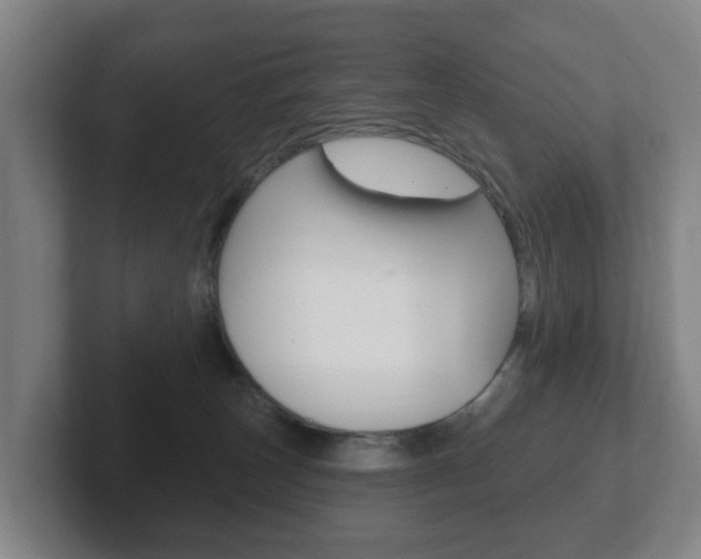 X0000102290179200807251008