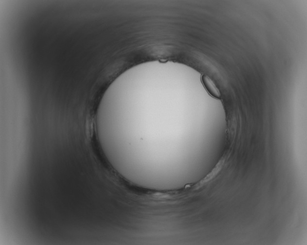 X0000102290180200807251008