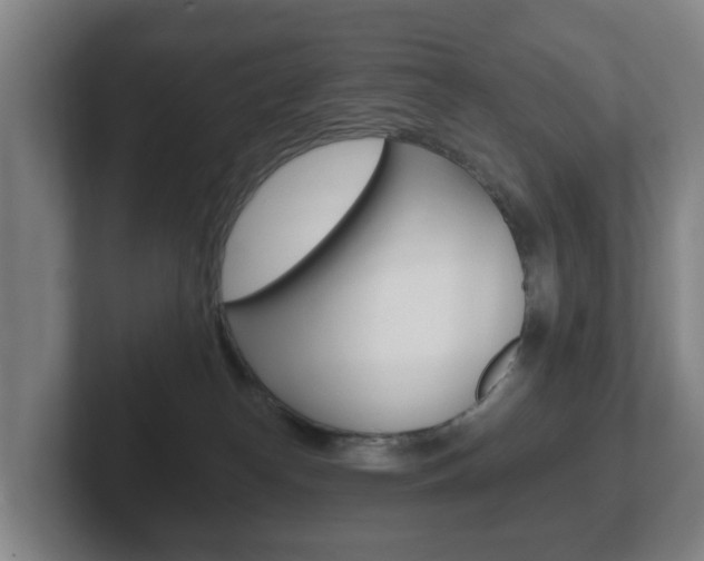 X0000102290182200807251008
