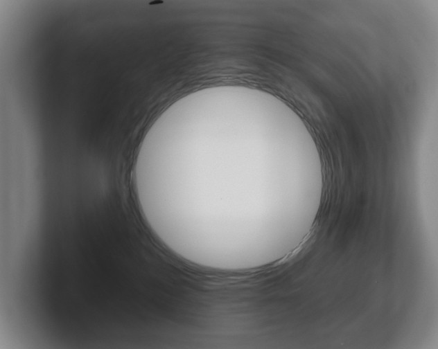 X0000102290184200807251008