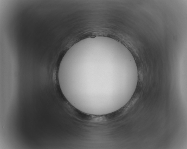 X0000102290185200807251008
