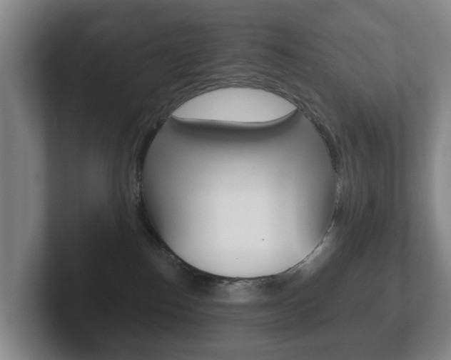 X0000102290186200807251008