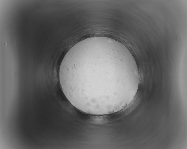 X0000102290187200807251008