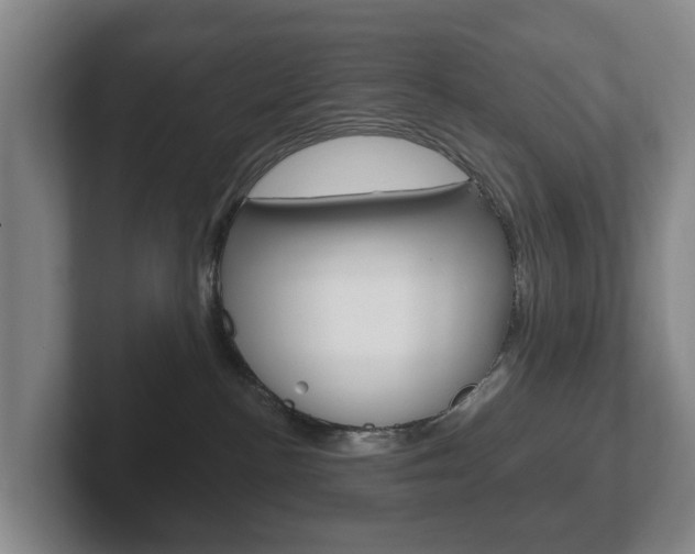 X0000102290188200807251008