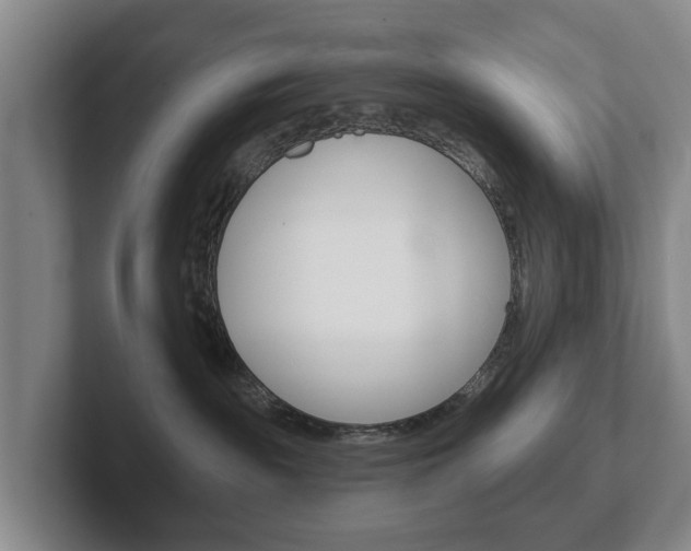 X0000102290189200807251008