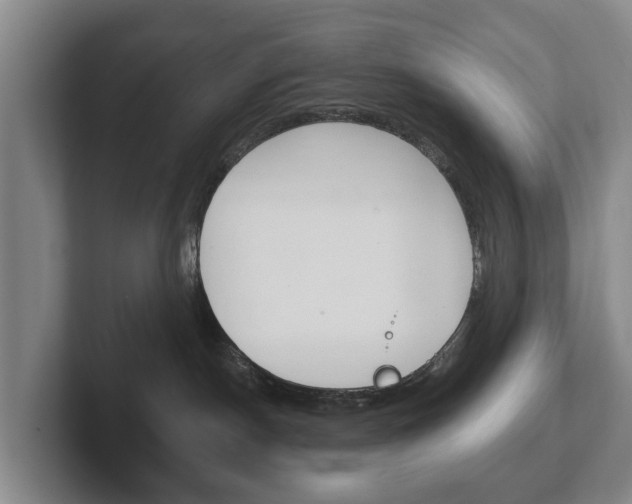 X0000102290190200807251008