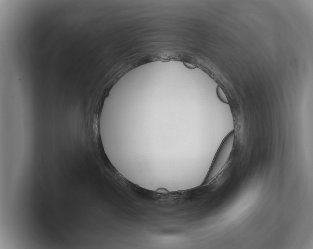 X0000102290191200807251008
