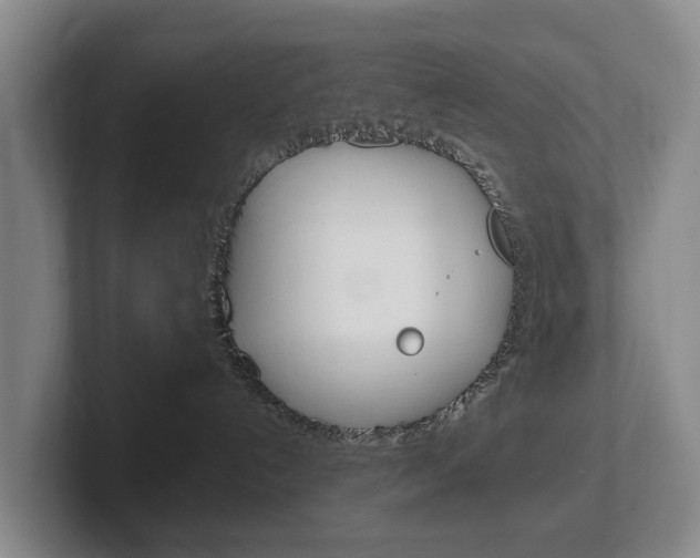 X0000102290192200807251008