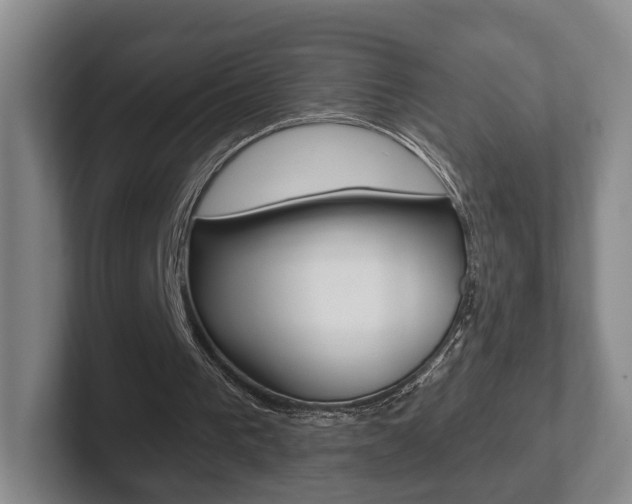 X0000102290193200807251008