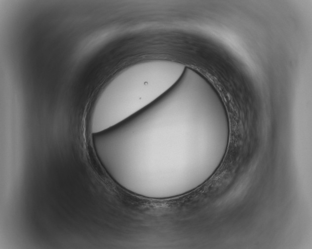 X0000102290194200807251008