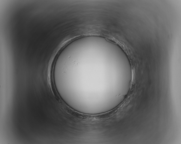 X0000102290195200807251008