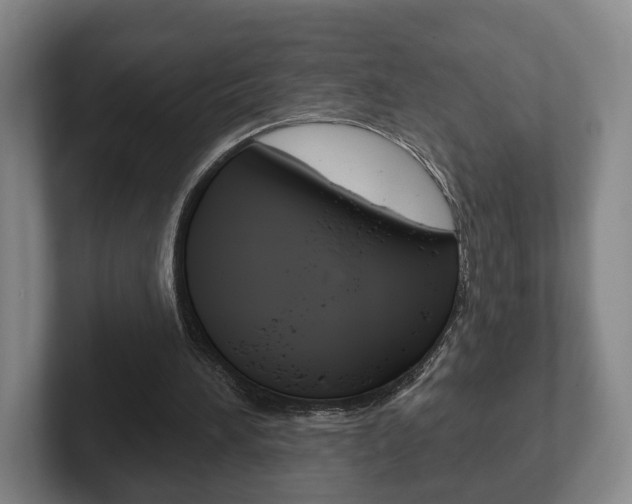 X0000102290196200807251008