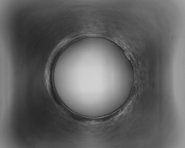 X0000102290197200807251008