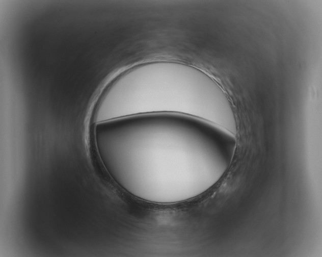 X0000102290200200807251008
