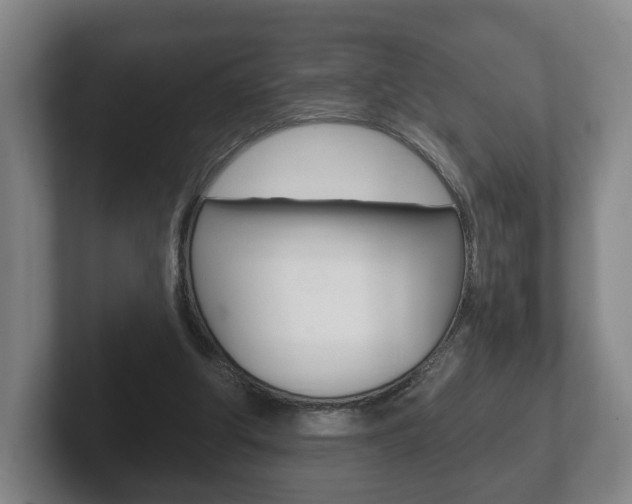 X0000102290202200807251008