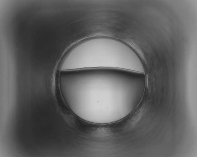 X0000102290204200807251008