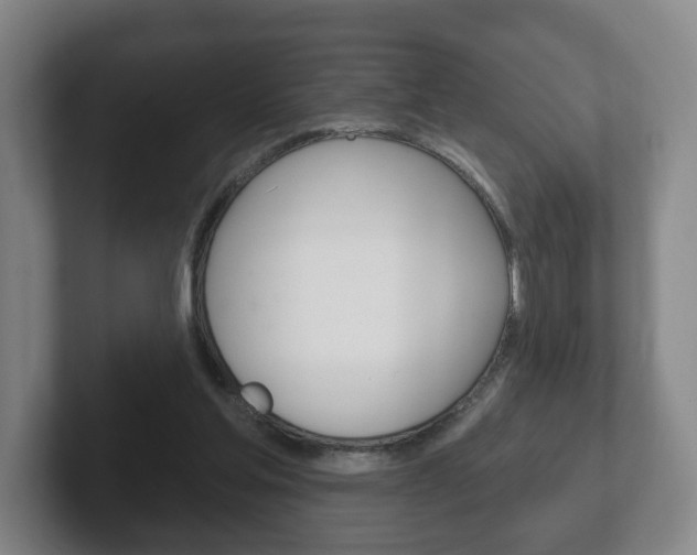 X0000102290205200807251008