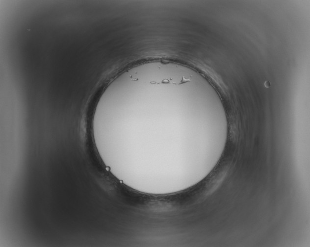 X0000102290207200807251008