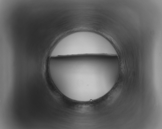 X0000102290208200807251008