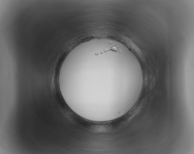 X0000102290209200807251008